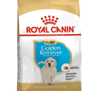 RC GOLDEN PUPPY 3KG