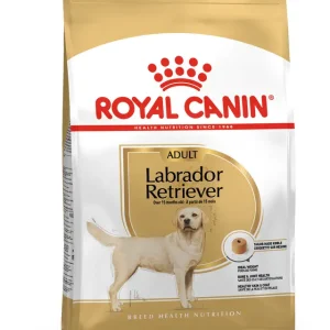 RC LABRADOR ADULT 3KG