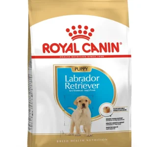 RC LABRADOR PUPPY 12KG