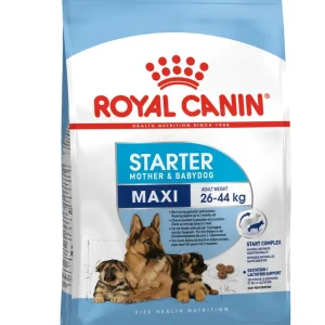 RC MAXI STARTER 4KG