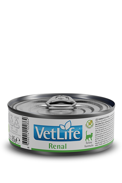 381_04_vetlife-renal-85g.png 381_04_vetlife-renal-85g.png