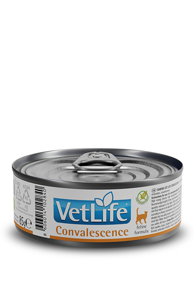 383_18_vetlife-convalescence-85g.png 383_18_vetlife-convalescence-85g.png