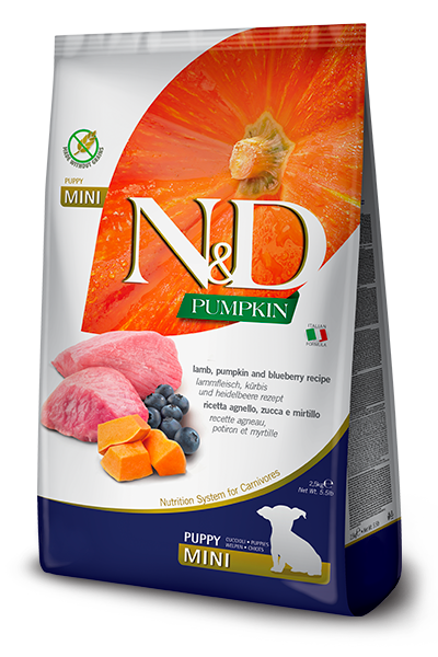 388_42_nd-pumpkin-puppy-mini-lamb-pumpkin-blueberry-5B400x600pxl5D@img_farmina_site.png 388_42_nd-pumpkin-puppy-mini-lamb-pumpkin-blueberry-5B400x600pxl5D@img_farmina_site.png