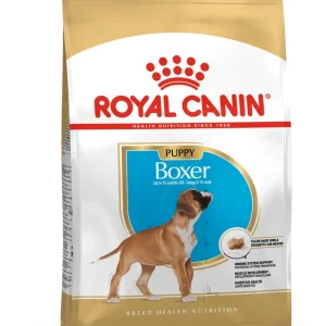 RC BOXER PUPPY 1KG