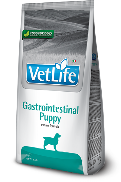 630_45_vet-life-canine-gastrointestinal-puppy@web.png 630_45_vet-life-canine-gastrointestinal-puppy@web.png