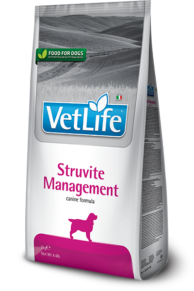 67_12_67_44_vet-life-canine-struvite-management@web.png 67_12_67_44_vet-life-canine-struvite-management@web.png