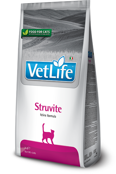 80_04_80_13_vet-life-feline-struvite@web.png 80_04_80_13_vet-life-feline-struvite@web.png