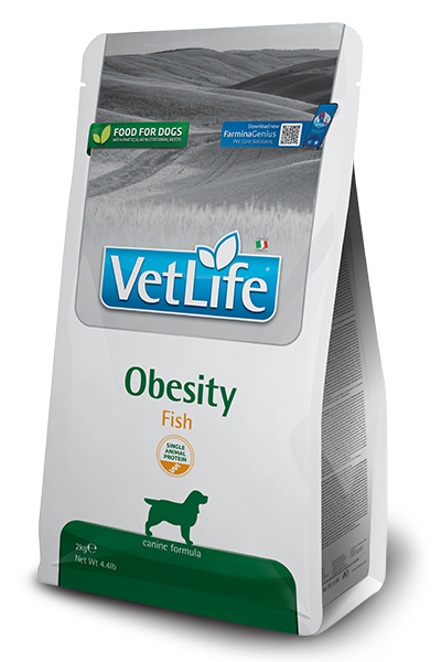 966_34_vet-life-canine-obesity-fish@web.png 966_34_vet-life-canine-obesity-fish@web.png