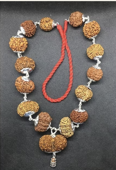 1-14 mukhi rudraksha siddha mala