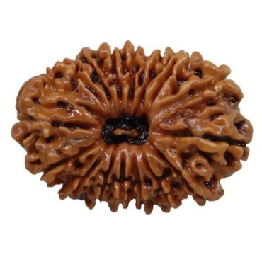 16 Mukhi (Nepali)