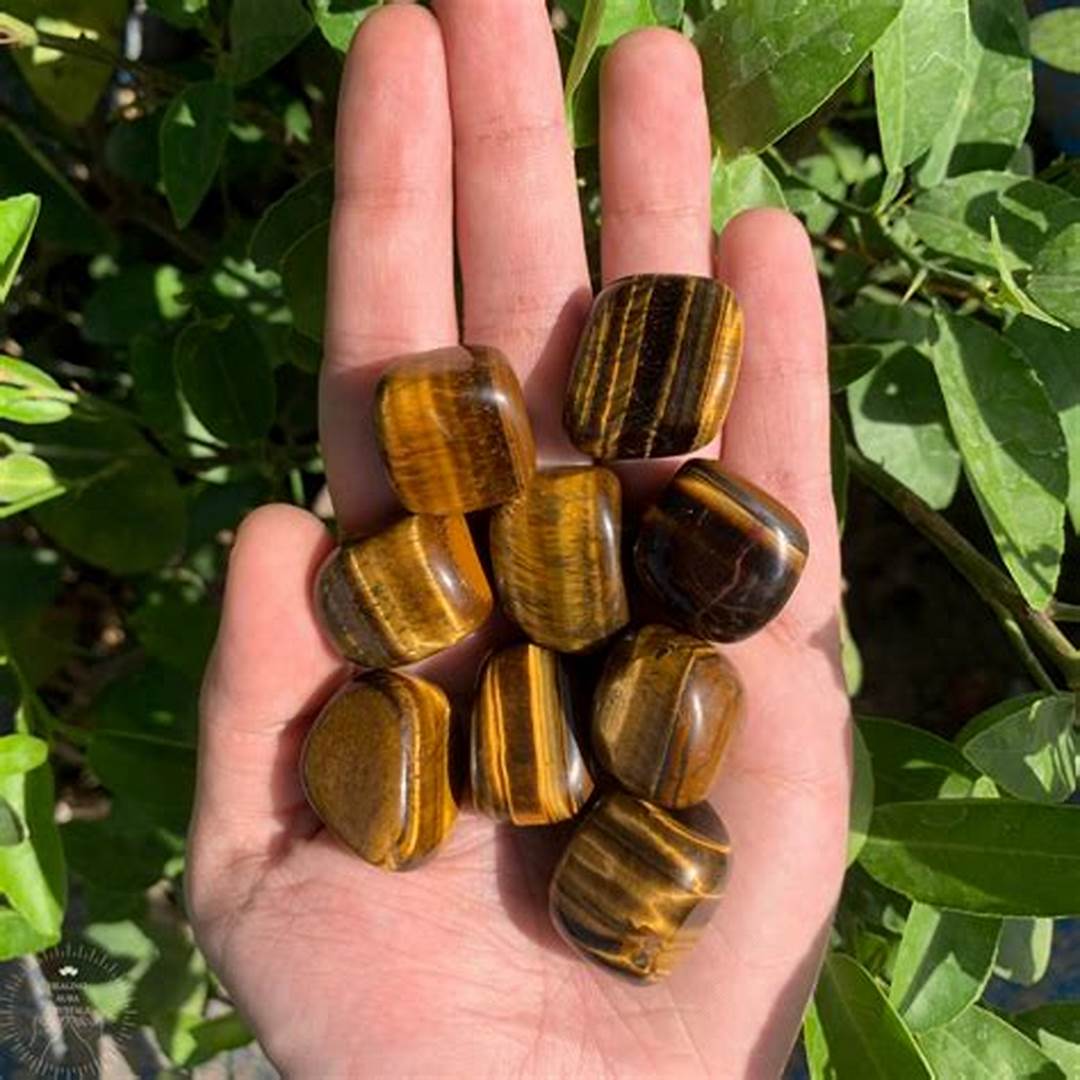 Tiger Eye Tumbles - Image 2