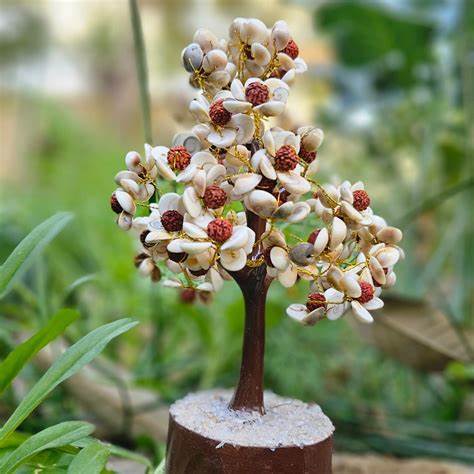 Rudraksha and Gomti Chakra Tree for SUCCESS AND GROWTH IN LIFE