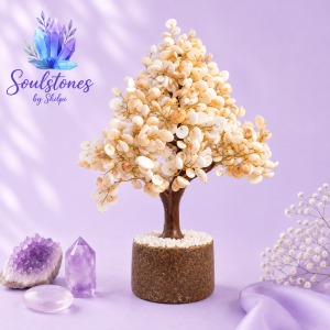 Gomti Chakra Tree For Abundance & Wealth
