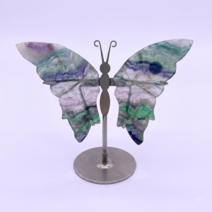 Rainbow Fluorite Butterfly